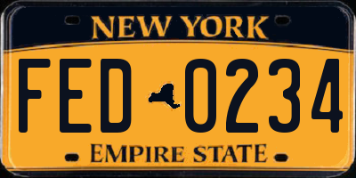 NY license plate FED0234