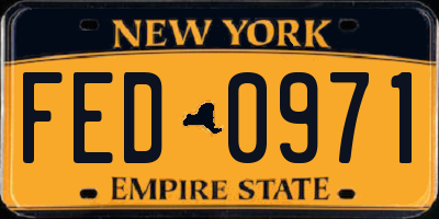 NY license plate FED0971