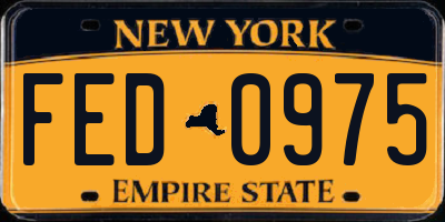 NY license plate FED0975