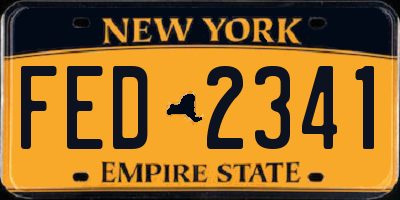 NY license plate FED2341