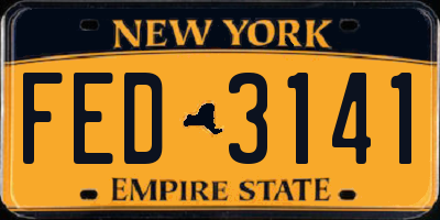 NY license plate FED3141