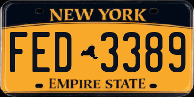 NY license plate FED3389