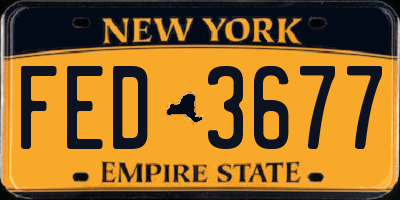 NY license plate FED3677