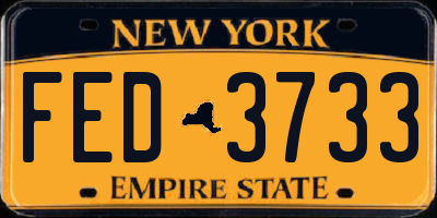NY license plate FED3733