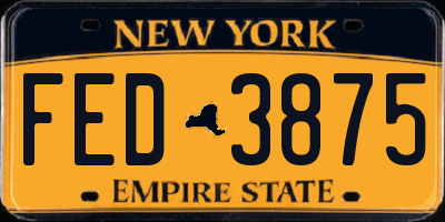 NY license plate FED3875