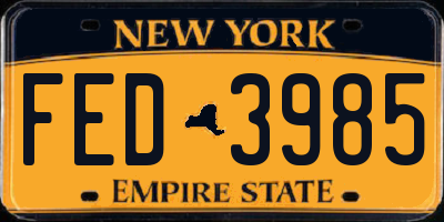 NY license plate FED3985
