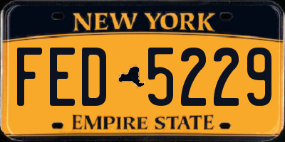 NY license plate FED5229