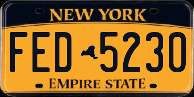 NY license plate FED5230