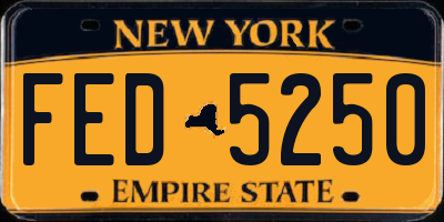 NY license plate FED5250