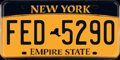 NY license plate FED5290