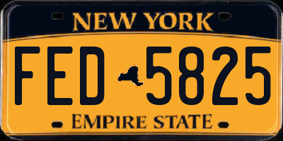 NY license plate FED5825
