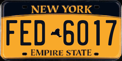 NY license plate FED6017
