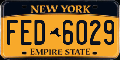 NY license plate FED6029