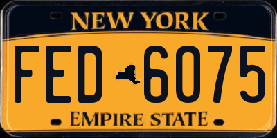 NY license plate FED6075