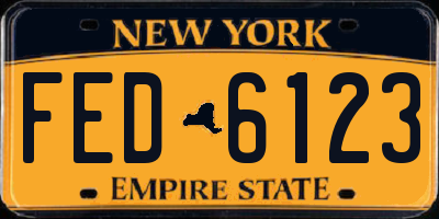 NY license plate FED6123