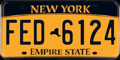 NY license plate FED6124