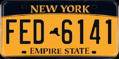 NY license plate FED6141