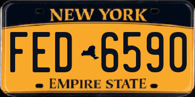NY license plate FED6590