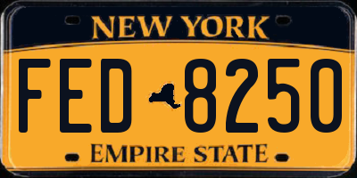 NY license plate FED8250