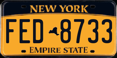 NY license plate FED8733