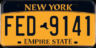 NY license plate FED9141