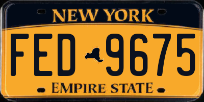 NY license plate FED9675
