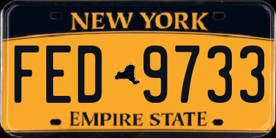 NY license plate FED9733