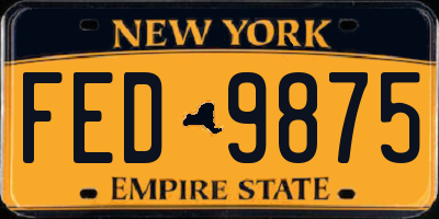 NY license plate FED9875