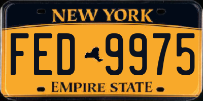 NY license plate FED9975