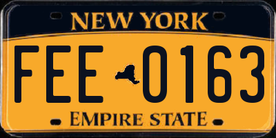 NY license plate FEE0163
