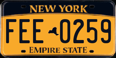 NY license plate FEE0259