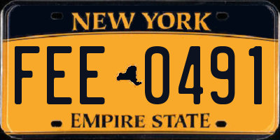 NY license plate FEE0491