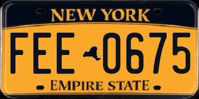 NY license plate FEE0675