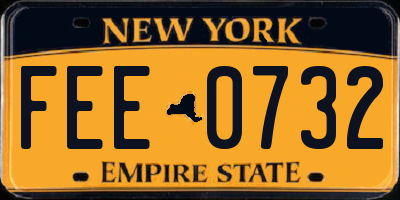 NY license plate FEE0732