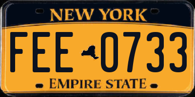 NY license plate FEE0733
