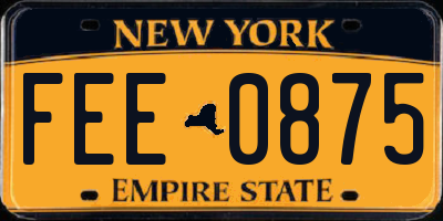 NY license plate FEE0875