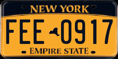 NY license plate FEE0917
