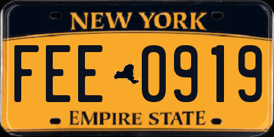 NY license plate FEE0919