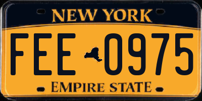 NY license plate FEE0975