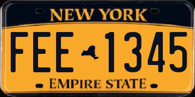 NY license plate FEE1345