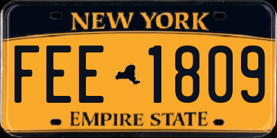 NY license plate FEE1809