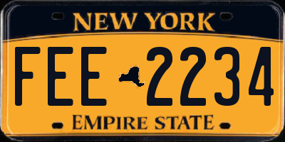 NY license plate FEE2234