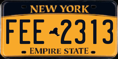 NY license plate FEE2313