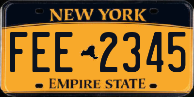 NY license plate FEE2345