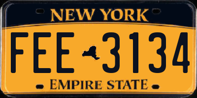 NY license plate FEE3134