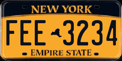 NY license plate FEE3234