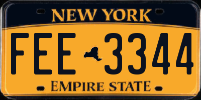 NY license plate FEE3344