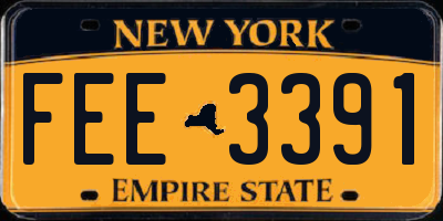 NY license plate FEE3391