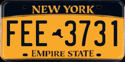 NY license plate FEE3731