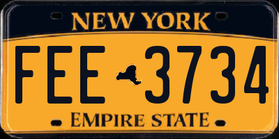NY license plate FEE3734